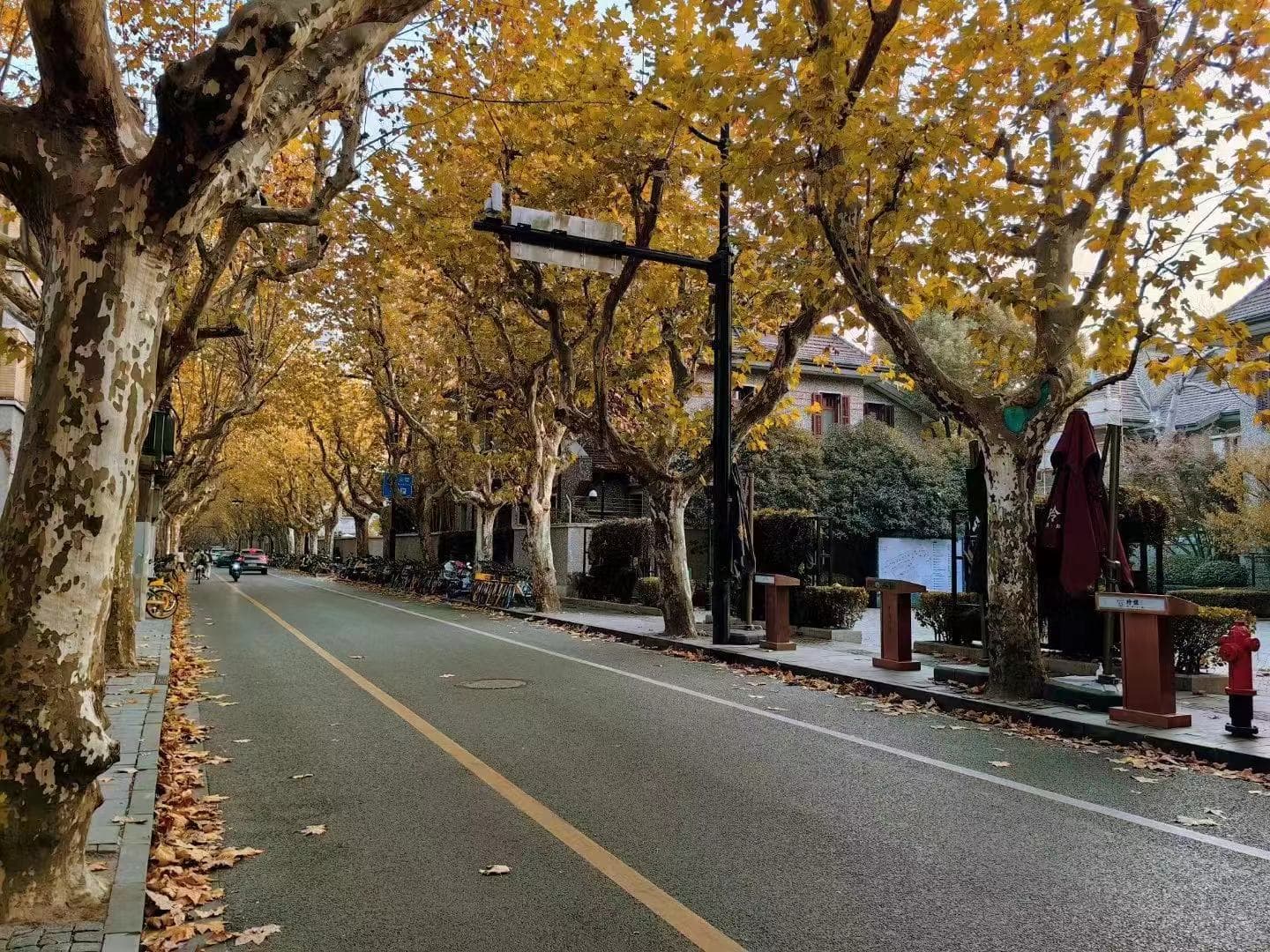 Sinan Road