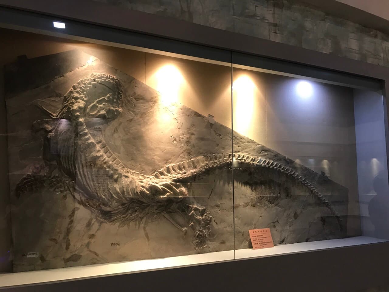 Tour Spot - Slide 3