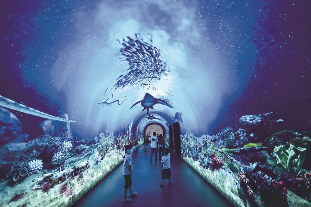 Tour Spot - Slide 3