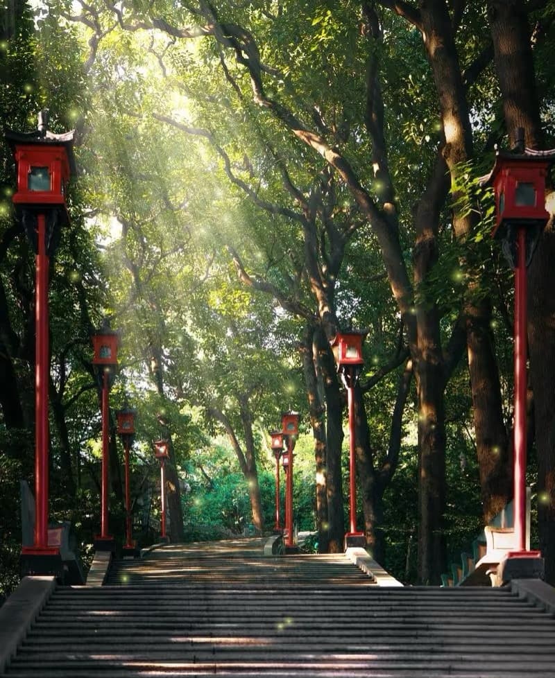 Tour Spot - Slide 5