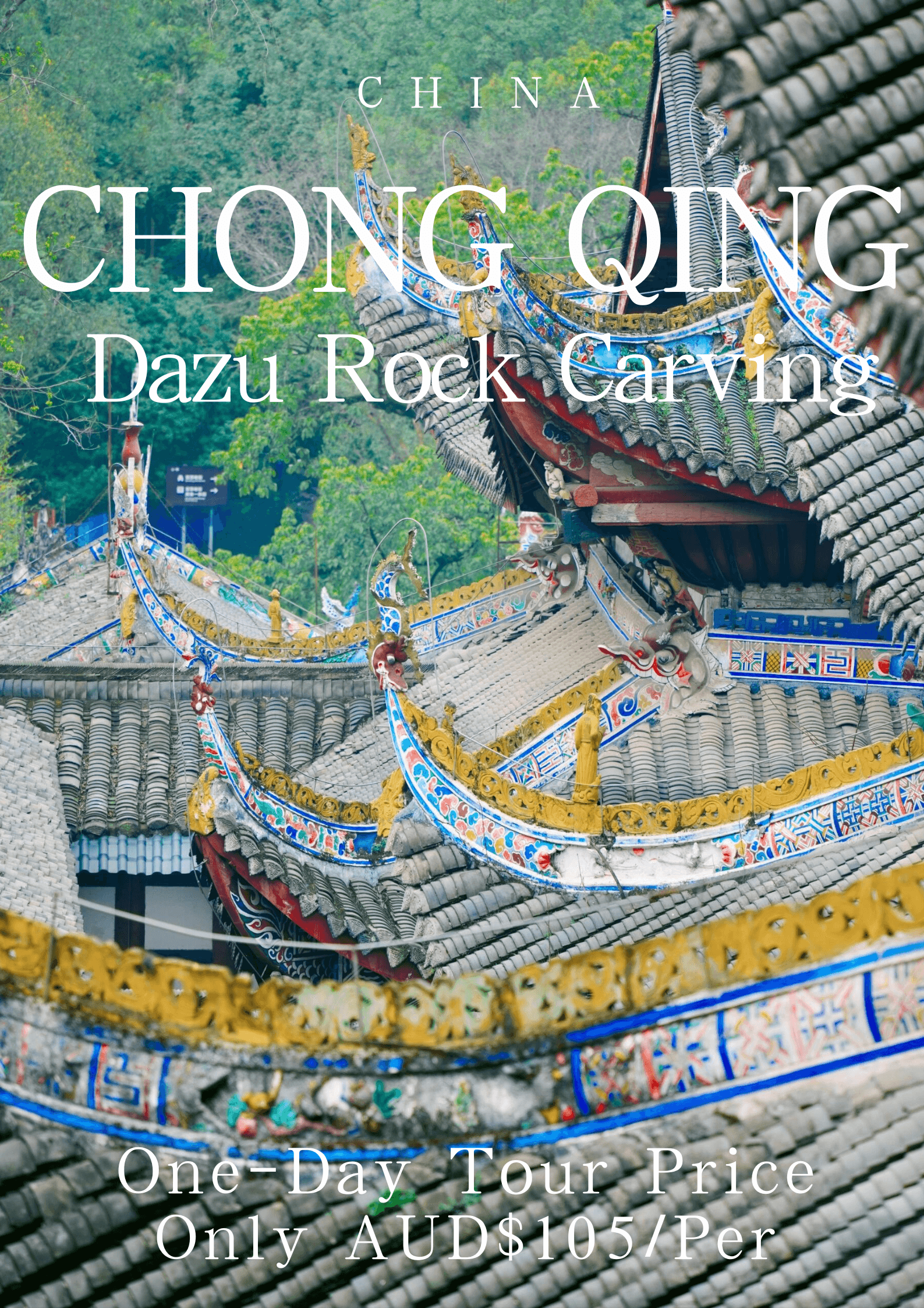 Chongqing Dazu Rock Carving Double Scenic Day Trip for 2-8 People
