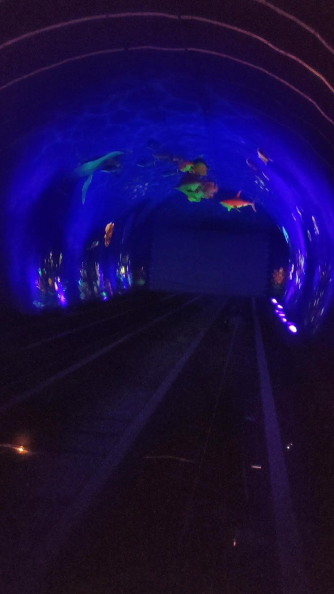 Tour Spot - Slide 3