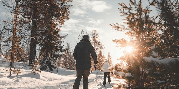 Powder Snow Skiing