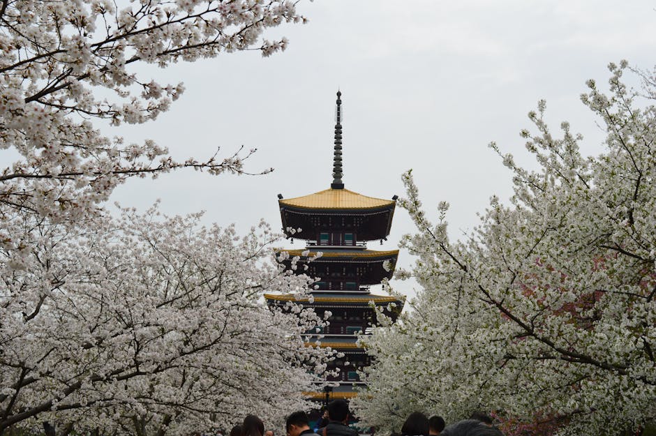 The 2026 China Cherry Blossom Forecast: … — photo 1