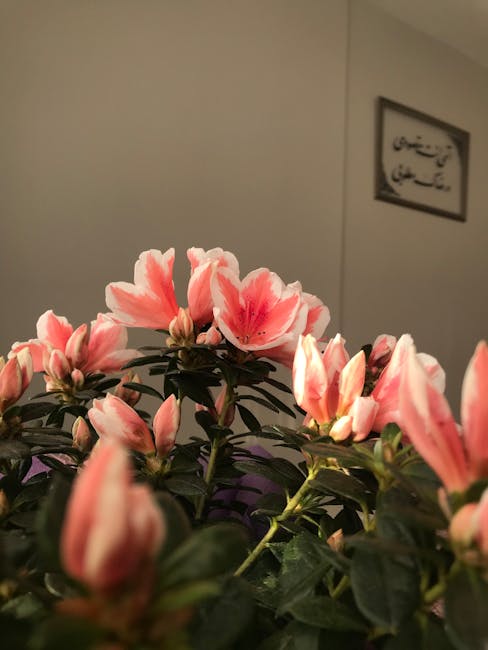 China's 2026 Wildflower Bloom Forecast: … — photo 1