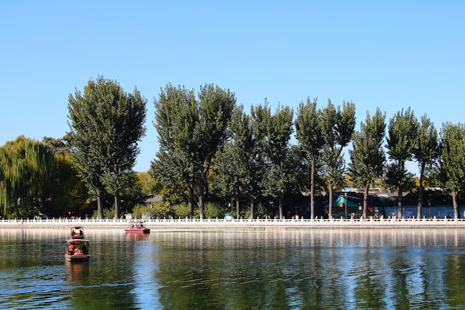 The China Traveler's Guide to Rural Hosp… — photo 1