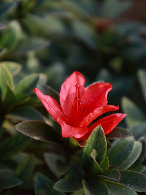 The China Traveler's Guide to April 2026… — photo 1